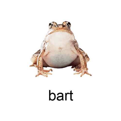 Bart